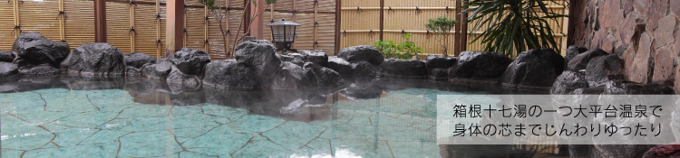 箱根十七湯の一つ大平台温泉で身体の芯までじんわりゆったり