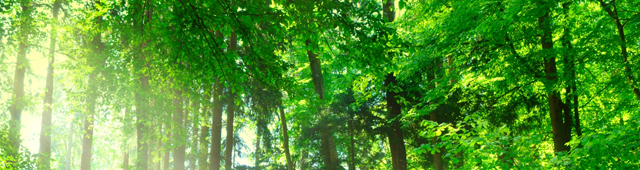 未成年者だけの宿泊について