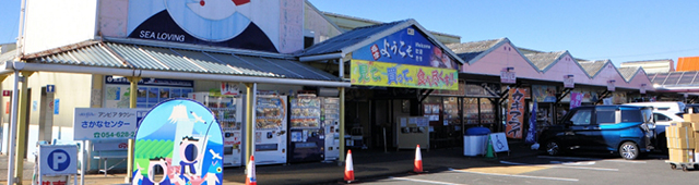 焼津さかなセンター