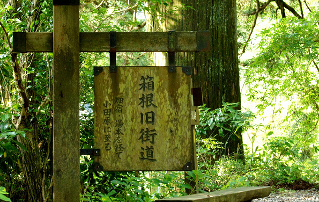 箱根旧街道杉並木