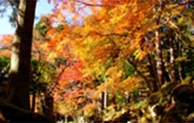 長安寺